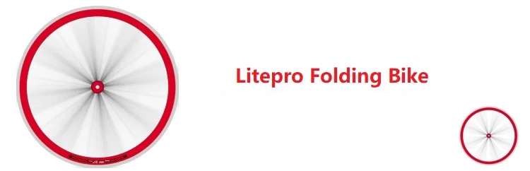 Litepro 406 451 Складная велосипедная пара колес 4 подшипника 20 дюймов двойная стена сплав 16/20 отверстие обод SP8 Vp18 складной дорожное Велосипедное