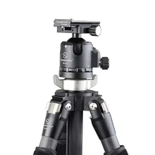 SUNWAYFOTO штатив из углеродного волокна и шаровая Головка комбинированный T2C40C-T2(T2C40C+ XB-44+ DPG-80DR+ LWP-02* 3
