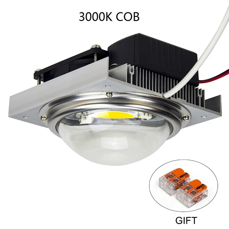 CREE CXB3590 100 Вт 200 Вт COB светодиодный свет для выращивания DIY модуль полный спектр светодиодный светильник для выращивания растений в помещении Идеальный держатель MEANWELL драйвер 185H - Испускаемый цвет: 100W-3000K