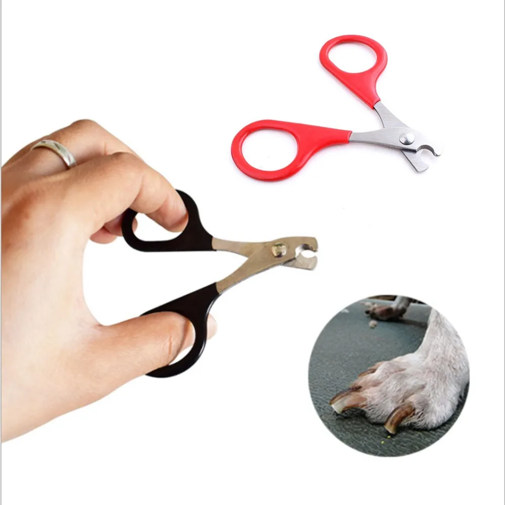 Pet Product Red Small Dogs With Pet Nail Scissors Cats Use Nail