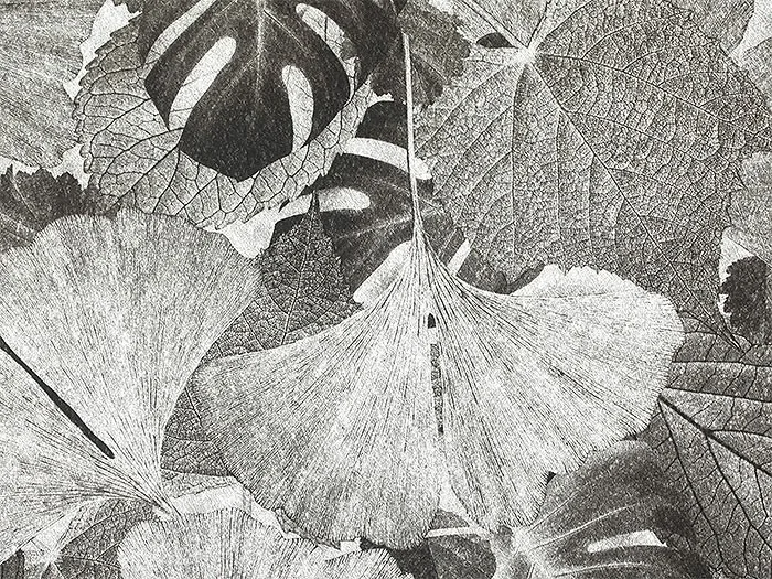 20120921161423358