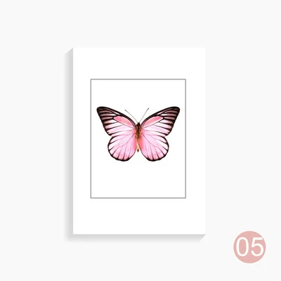 A5