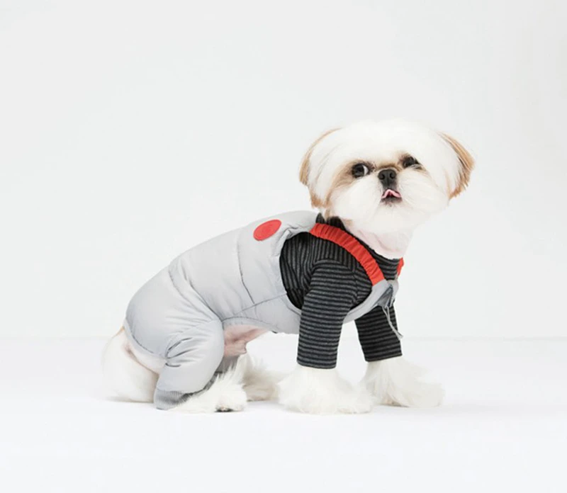 [MPK Dog зимняя одежда] Wongtim пуховик для французских Бульдогов и Мопсов гетры|Пальто