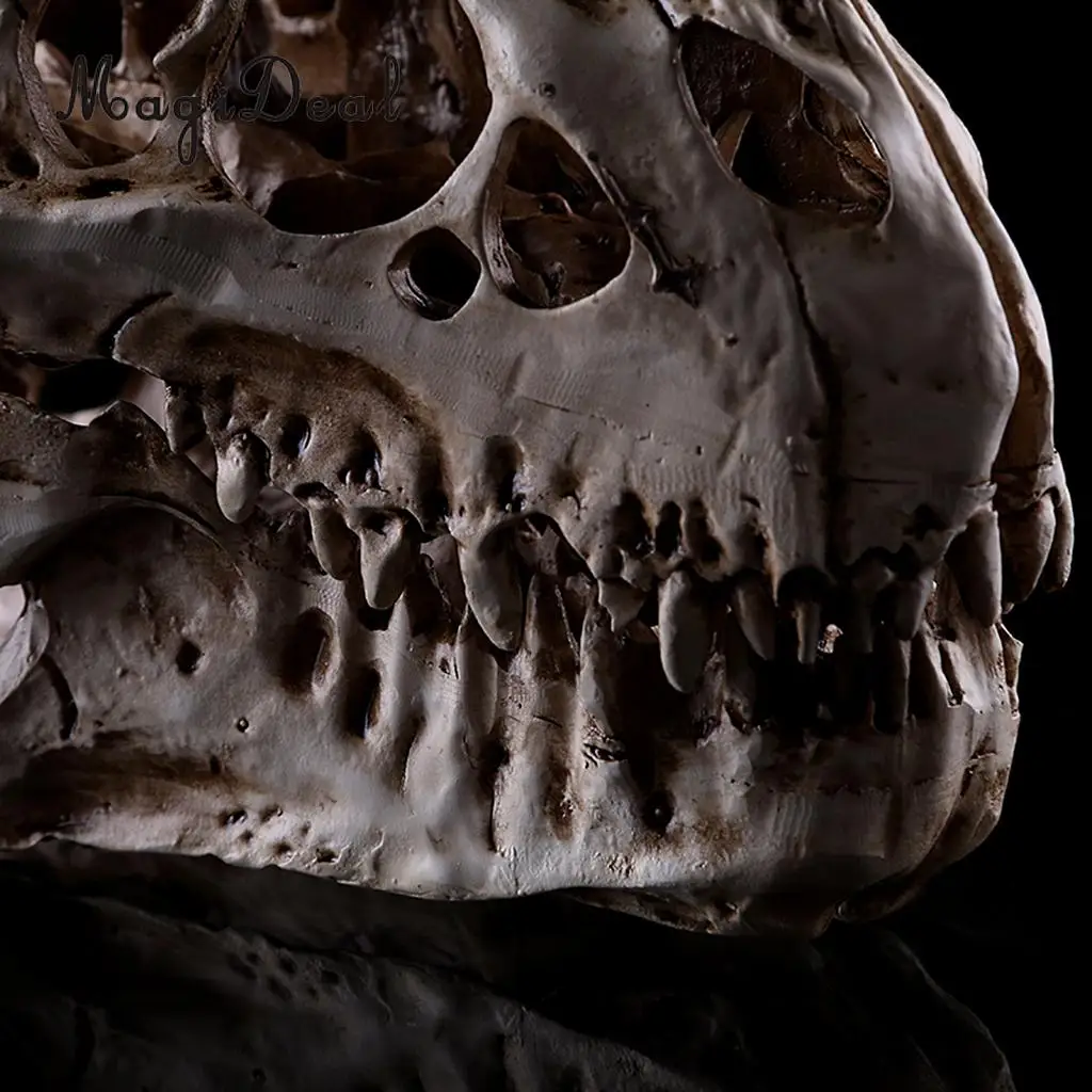 MagiDeal Resin T-rex Skull Replica Skeleton Figurine Collection Bar Decor Halloween Decoration Flower Ornaments Skeleton White