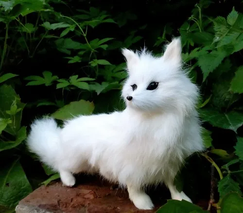 

Имитация лисы около 24x15 см игрушка Реалистичная белая лиса модель, реквизит, украшение для дома подарок t092