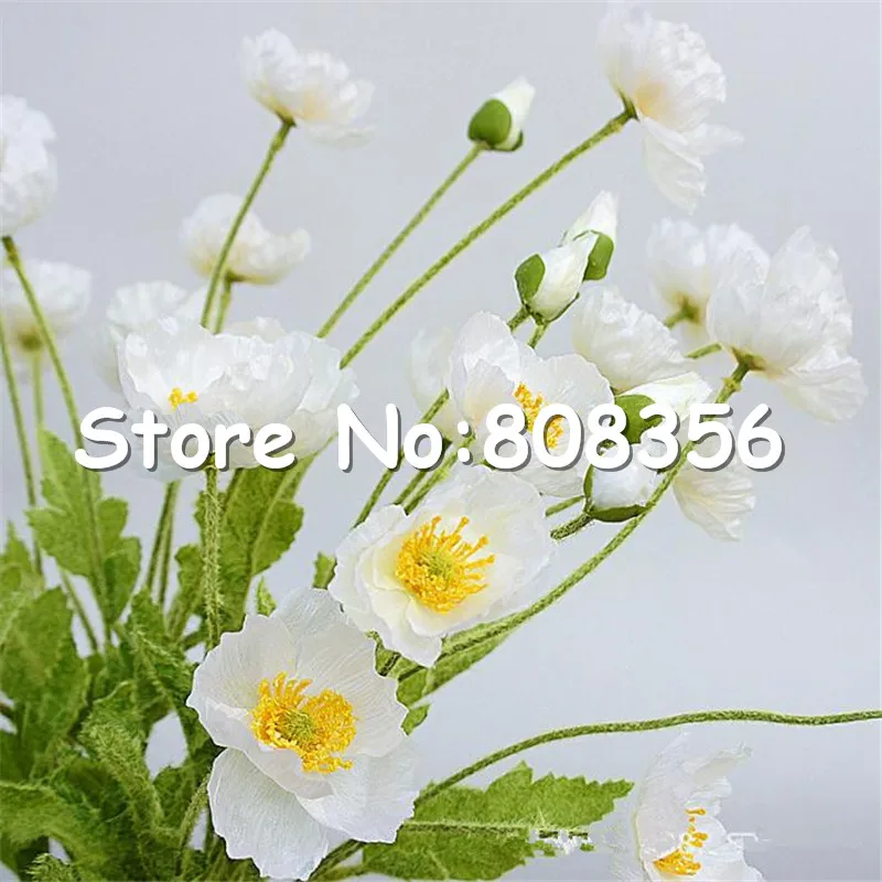 650