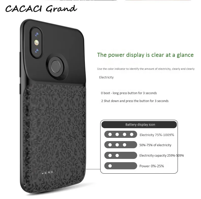 case (3)