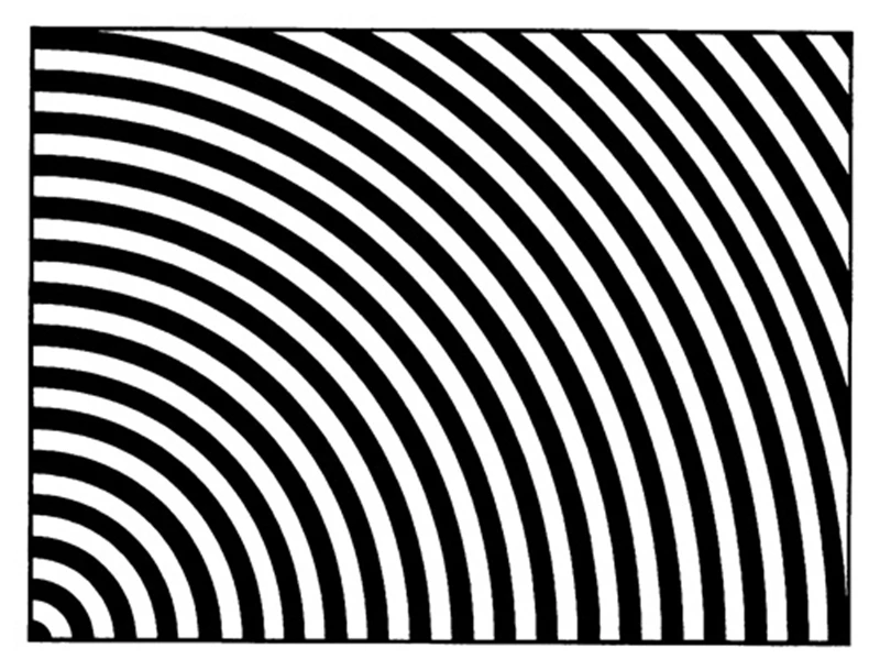 11088774774_591419584