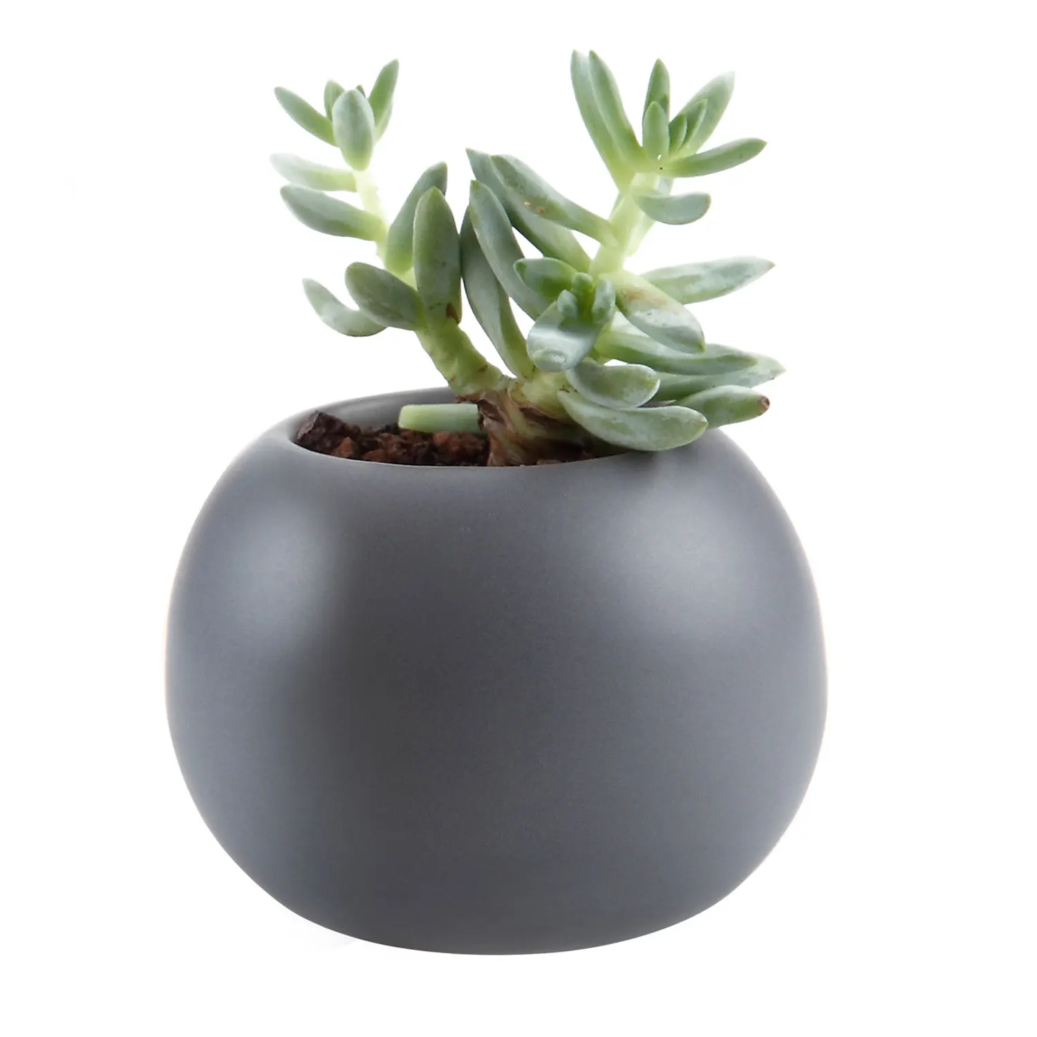 Цветочный горшок серый. Цветочный горшок серый. Цветочный горшок серый. Кашпо круглое "maкata 30" d29, h32,5 l-14,6 beton (059) (с технол горшком). Кашпо цветочное «кактусник», d10, 0, 15л.