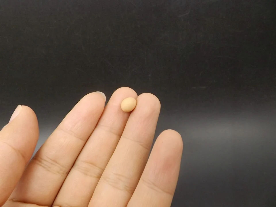Tiny-A025Egg (3)