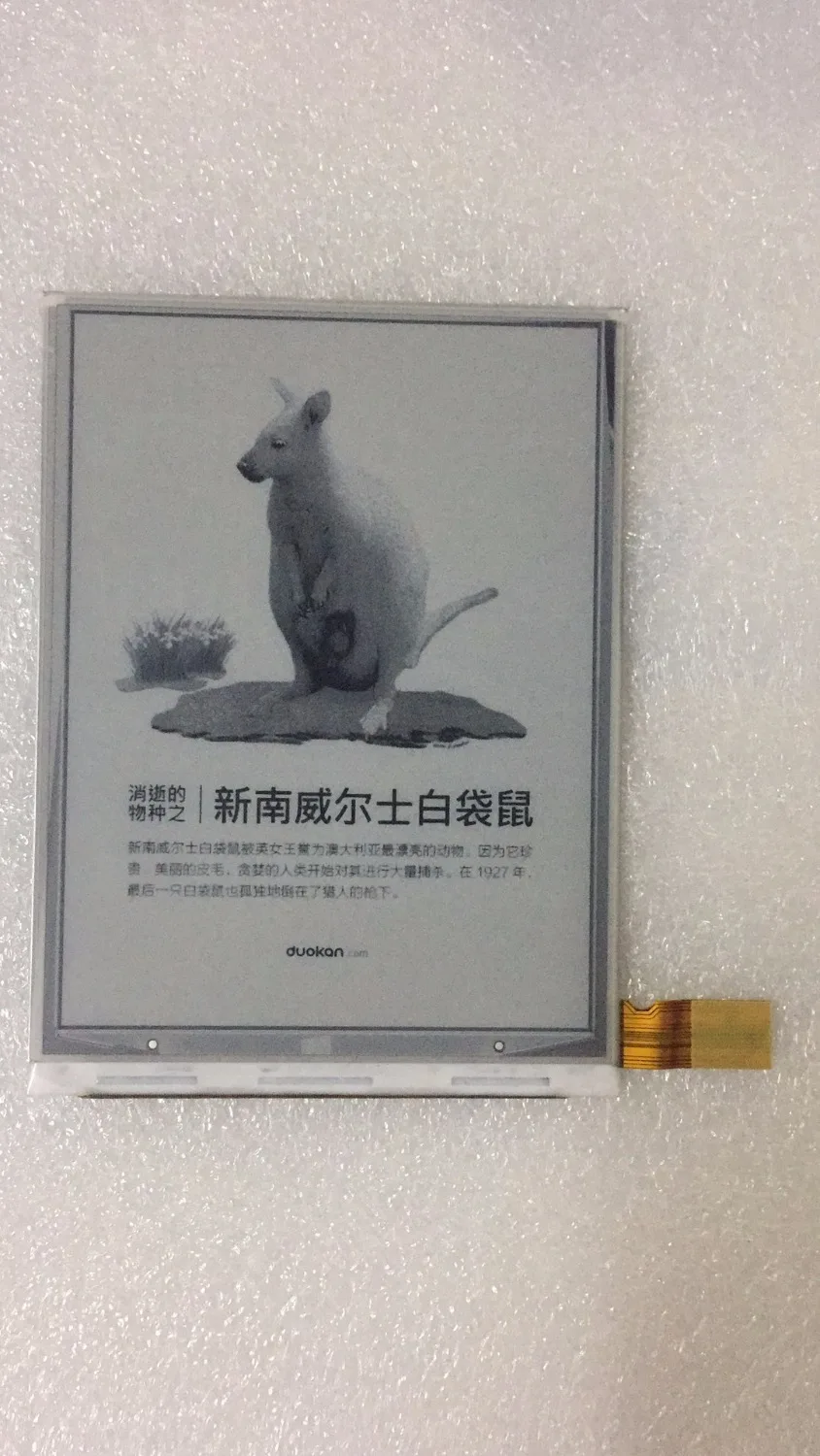 6 "Senza Schermo Touch Panel Display Lcd Per Pocketbook 624 Pocketbook Basic Touch 624 Spedizione Gratuita