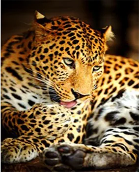 

DIY 5D Diamond Painting leopard Animals Embroidery Cross Stitch Rhinestone Picture Full circular Diamond Home Decor