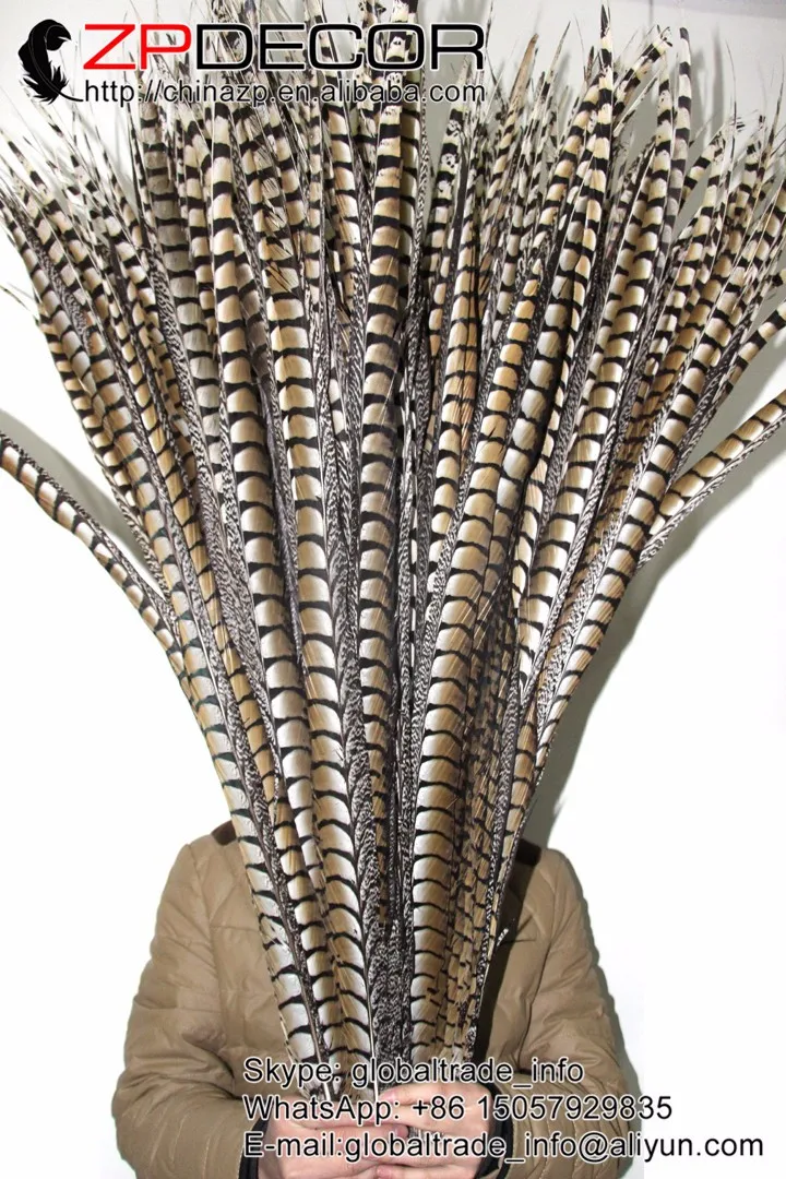 80-90cm natural lady amherst pheasant feathers  (93)