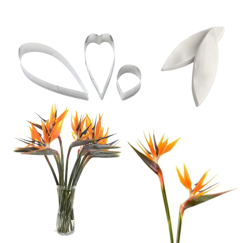 Strelitzia-5