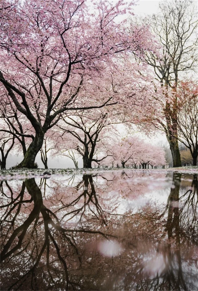 

Laeacco Spring Blossom Cherry Flowers Tree Lake Surface Natural Scenic Photography Background Photographic Backdrop Photo Studio