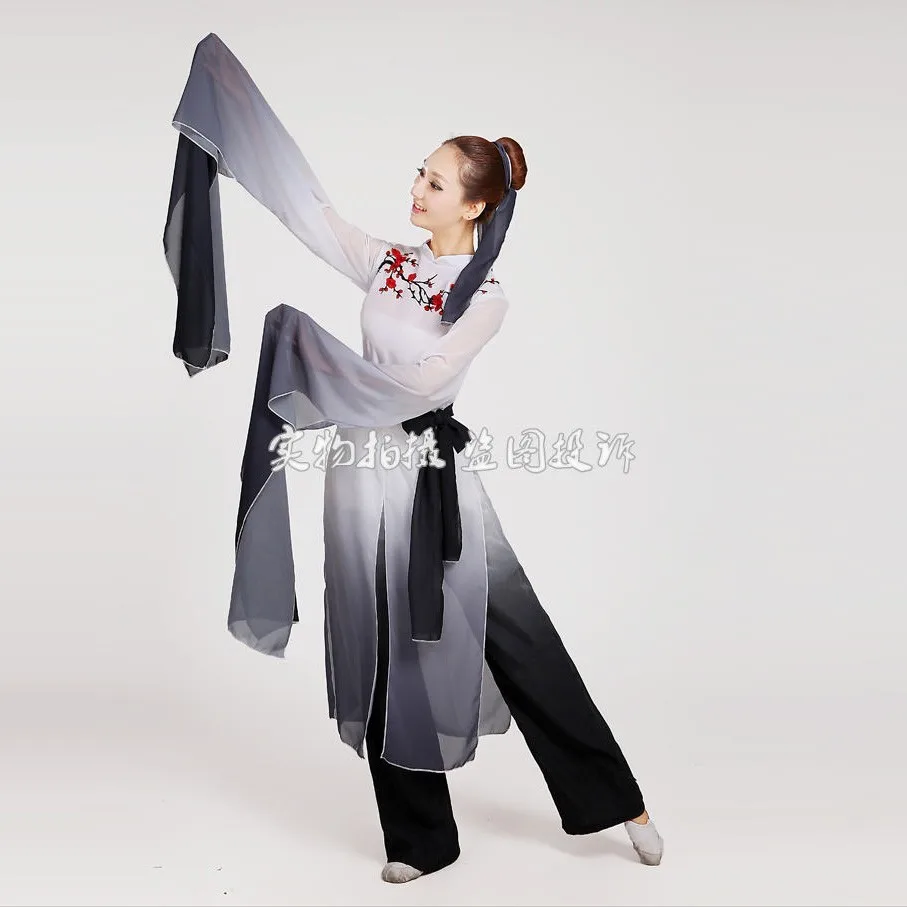 woman Gradient ink water sleeves costumes Chinese Classical dance clothes Plum tears embroidery Hanfu ancient fairy set