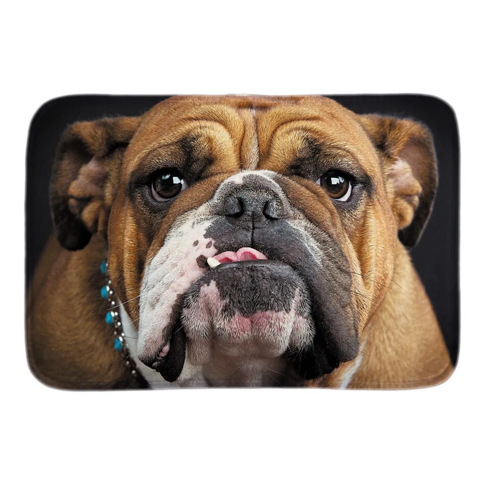 Cute Perro Bull Dog Doormat Soft Lightness font b Indoor b font Front Door Mats Home
