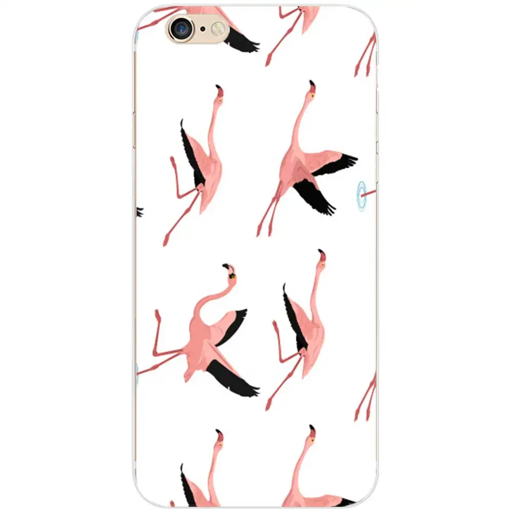 flamingos7