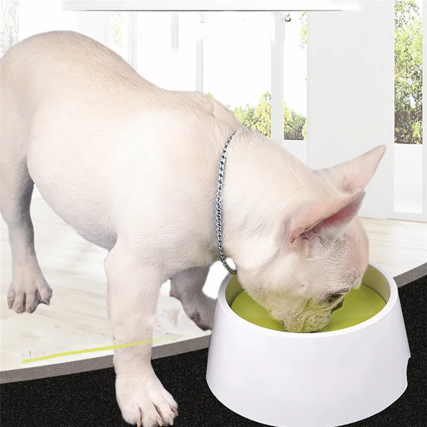 Lovely Pet Pet bowl 2 in 1 Anti Spill No Spill Dripless Water Food Bowl