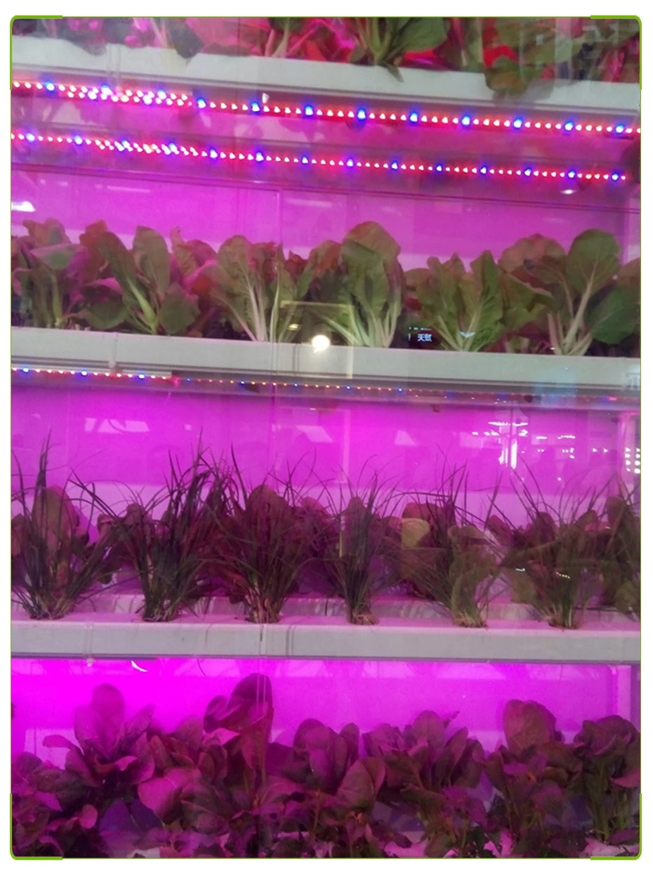 HTB1oOMhJXXXXXXMXFXXq6xXFXXXT