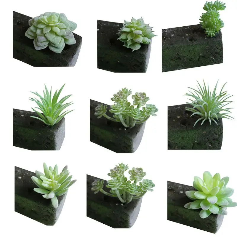 

Artificial Plastic Plants Succulent Simulation Frost Lotus Cacus Mini Landscape Flocking Fake Edelweiss Home Decoration 9 Style