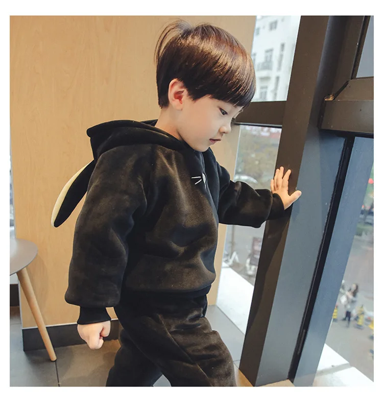 

New Arrival Kids Baby Boys Clothing Outfits 2 pcs hooded Rabbit Velvet Tops+Pants Baby Boy Clothes set Hoodies Tracksuit Set