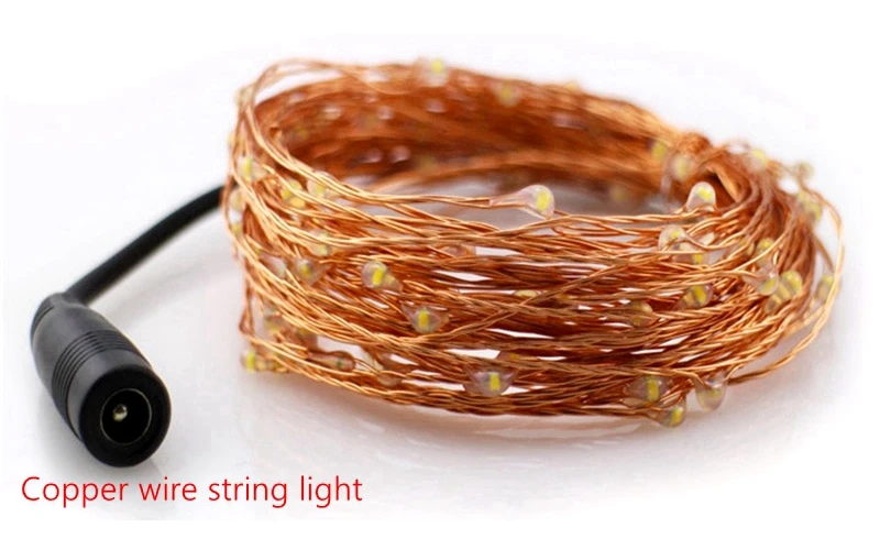 Wonlukiy-DC12V-10M-20M-30M-50M-Silver-Copper-Wire-Fairy-LED-String-Lights-For-Indoor-Outdoor (1)_