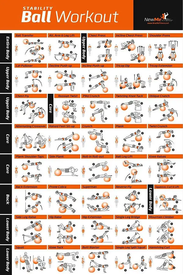 002 Barbell Dumbbell Workout Stretching Exercises Body Gym Chart - 6PCS Set