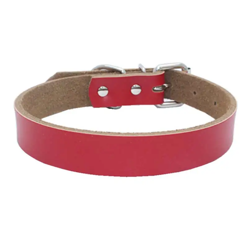 luxury dog collar