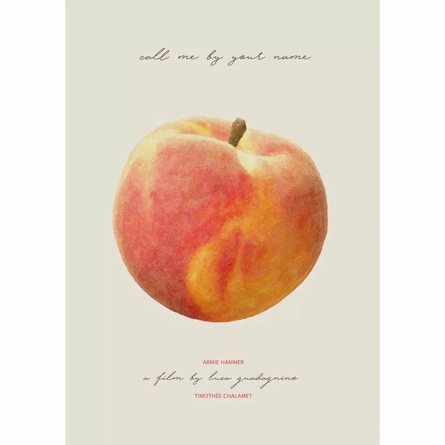 MQ875 Call Me By Your Name Romance 2017 USA Movie Film Hot New Art Poster Top Silk Canvas Home Decor Wall Picture Printings