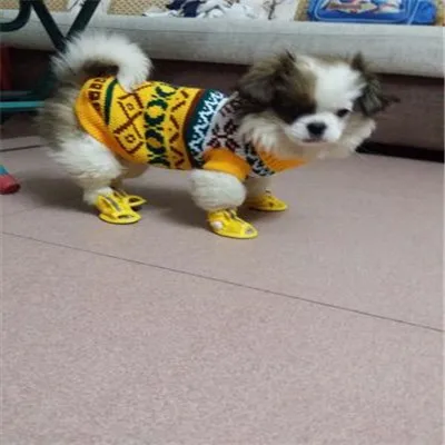 5030