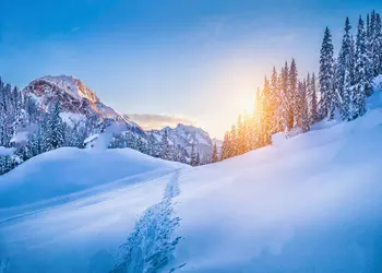 

winter snow wonderland mountain tree sun light sunset Background Vinyl cloth High quality Computer print wall backdrops