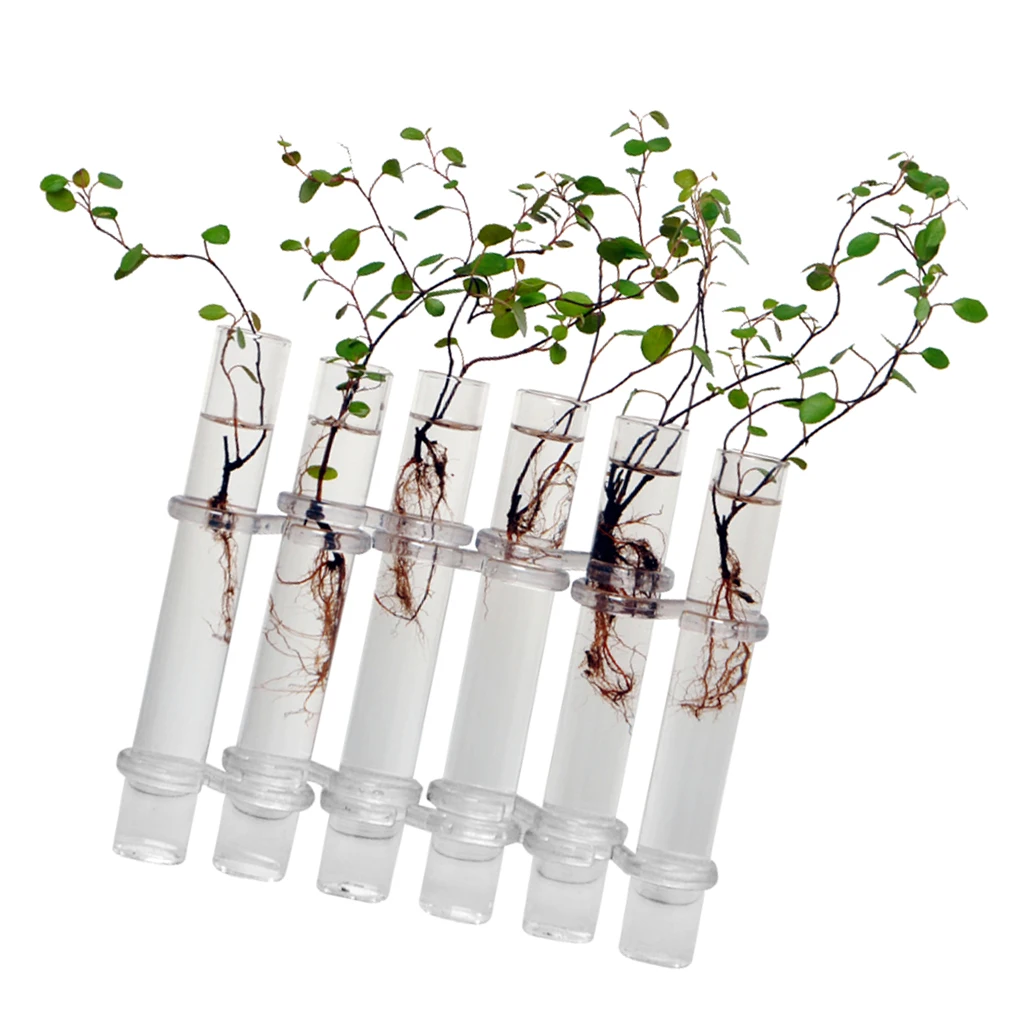 

6Pieces/Set Creative Glass Test Tubes Hanging Flower Bottle Micro-Landscape Planter Vase Pot