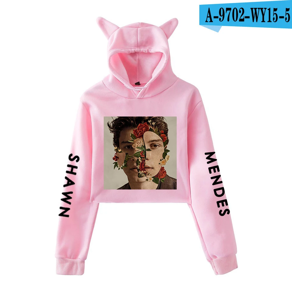 Pink Shawn Mendes толстовки с длинным рукавом, укороченный топ Kawaii, женская одежда для девочек, топы, толстовки, повседневное Пальто Harajuku Kpop размера плюс 2XL - Цвет: Pink