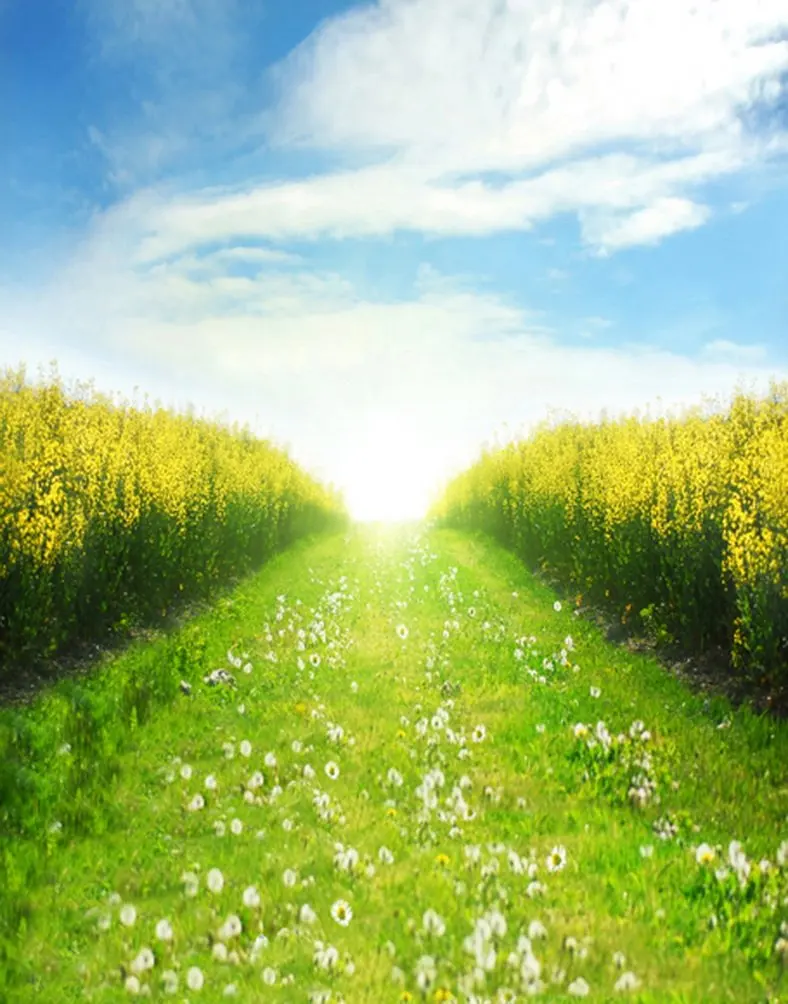 

5x7ft Blue Sky Yellow Flowers Photography Backdrops Photo Props Studio Background