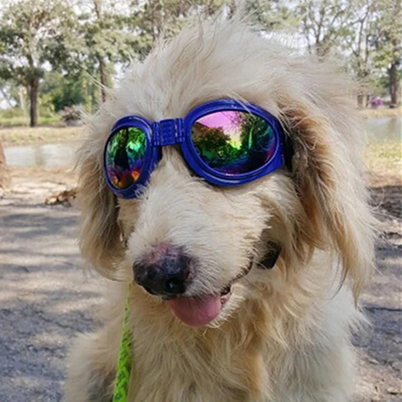 

Foldable Free size Googles Pet Dog Sunglasses Accessories Collapsible Sunglasses Windproof Eye Wear Dog Protection Goggles