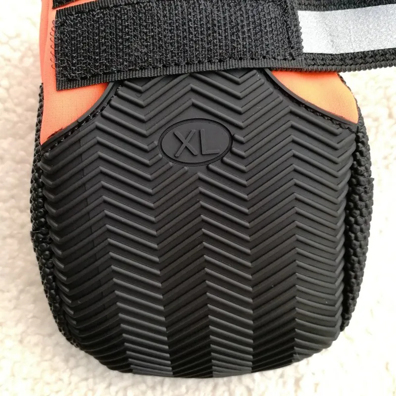 JL484 (2)