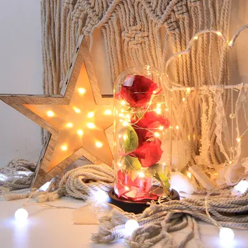 

LED night light Birthday Gift Valentine'S Day Gift Rose Flowers decoration light Light Preserved Flowers Women's Day Gift D25