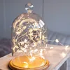 Guirlande lumineuse à lumière étoilée féerique féerique, 50/100, en fil de cuivre, décoration de fête de mariage et noël, à piles ► Photo 1/6