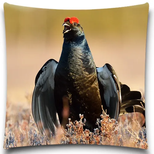 782 Noir Oiseau Ont La Tête De La Couronne Rouge 2d Impression Creative Taie Doreiller Carré Coton Polyester Coussin Couverture 5 Taille 9 Style