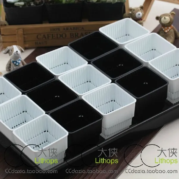 Plastic Nursery Pots 15 Square 1 Large Tray Box Fleshy Plastic Nursery Pots 15 Square 1 Large Tray Box Fleshy Succulents Breathable Root In From Home Garden On