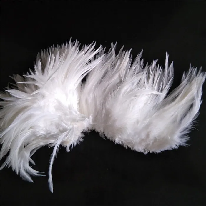 white rooster feathers (3)