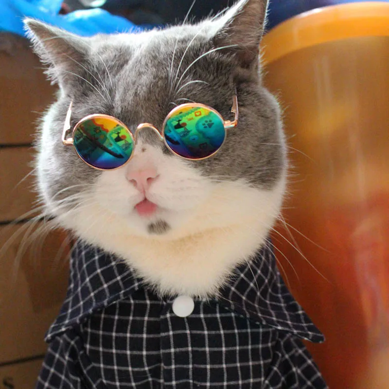 Fashion Pet Cat Clothes Plaid Cat Clothing for Small Cats Pet Costume