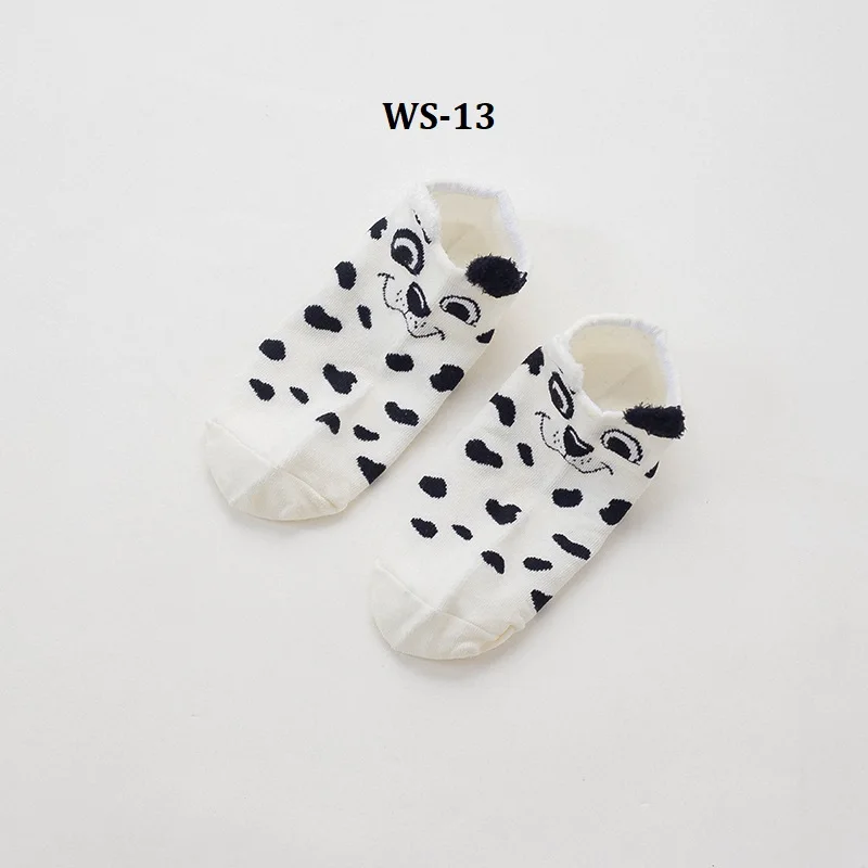 WS-13