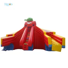 Inflatable Biggors Inflatable Double Lane Slide Stuck In Pool For Sale