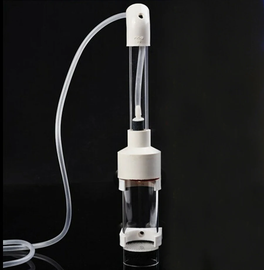 vca abbott animal hospital