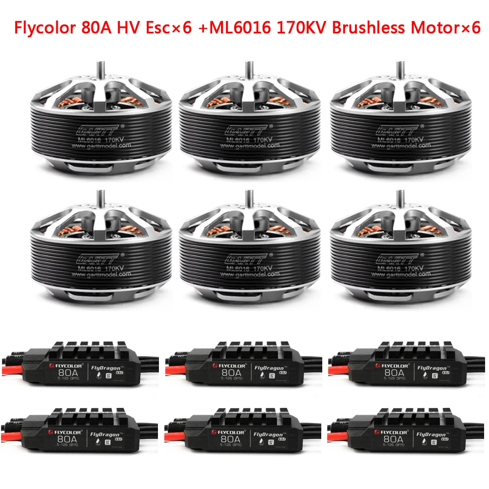 

GARTT 6pcs ML 6016 170/310 KV Brushless Motor+6pcs Flycolor 80A HV Brushless ESC For Plant Protection Operations Hexacopter