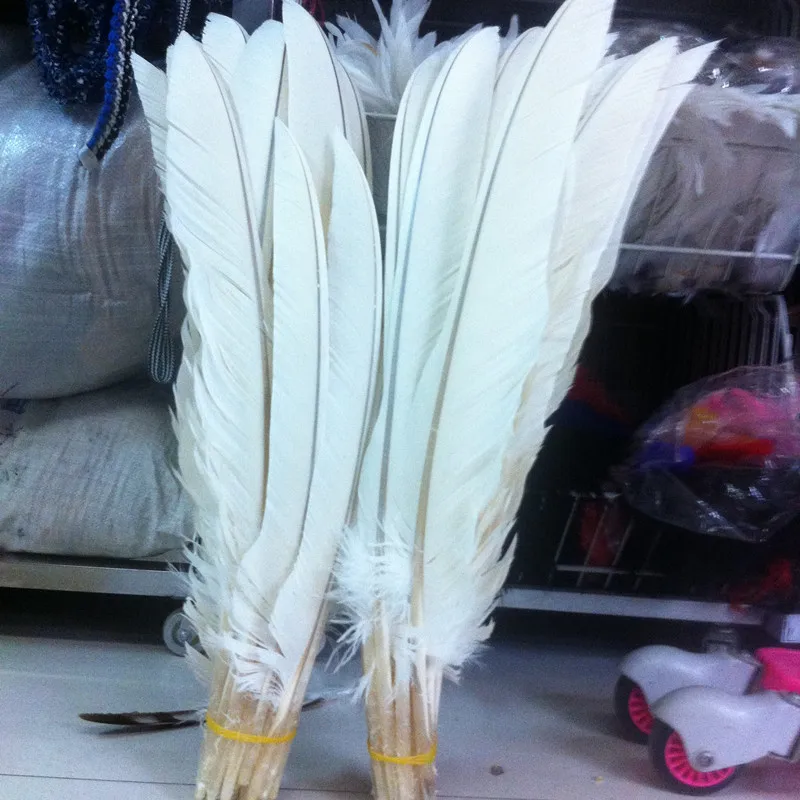 

New listing! 10 pcs 20-26 inches / 50-65 cm of rare natural white eagle feathers Favorites Free Shipping