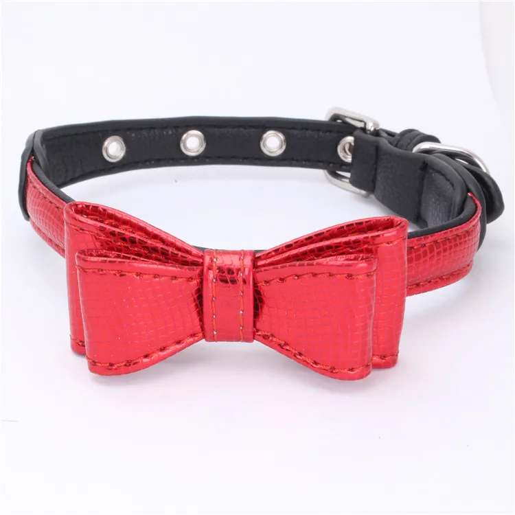 dog collar (10)