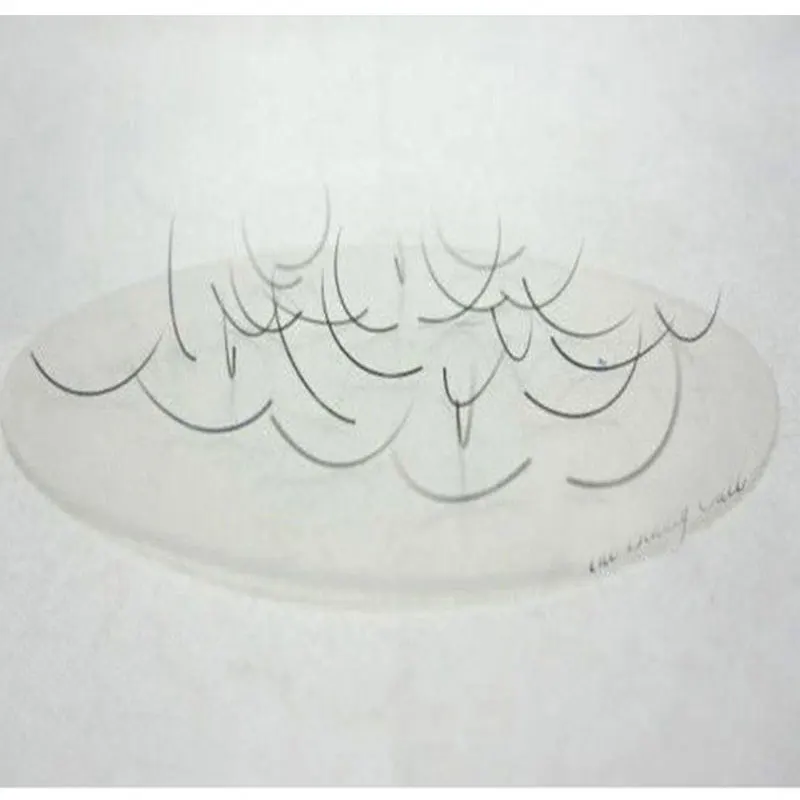

25pcs-Eyelash Extensions Flexible silicon stand-free shipping